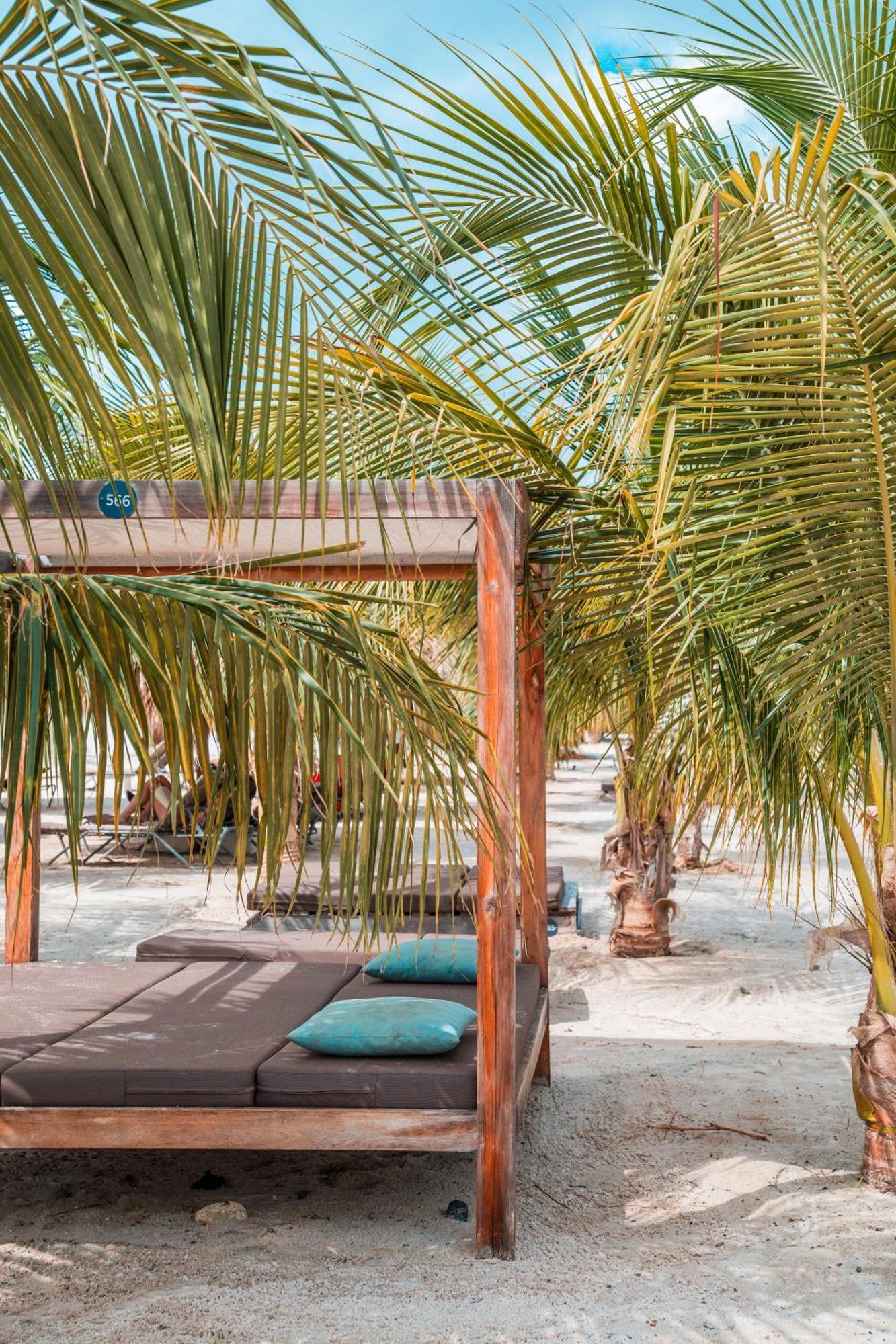 Chogogo Dive & Beach Resort Bonaire Playa Exterior photo
