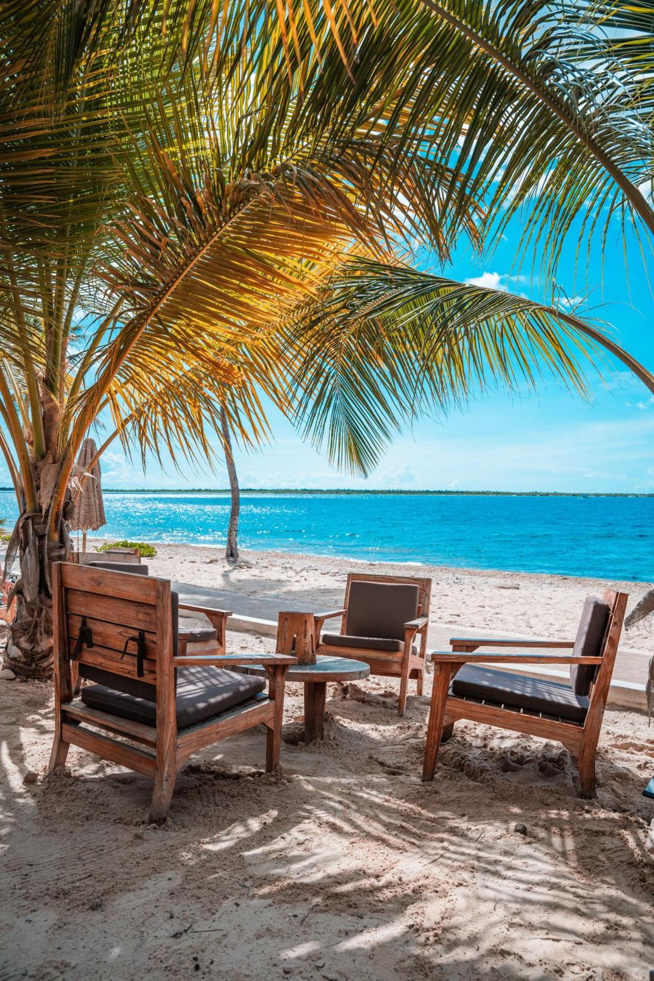 Chogogo Dive & Beach Resort Bonaire Playa Exterior photo